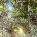 매물도윤스테이 이미지