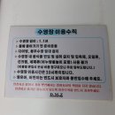 디엠제트박물관 야외화장실(주차장) | 세종 풀빌라 추천 디엠제트 무료 온수풀에 반해버린 4인 가족 후기