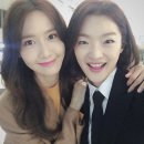 이예은 카카오 검색결과