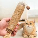 뽀송 이미지