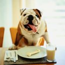 불당동물병원 이미지