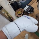 위닝박스 | 복싱 글러브 여전히 핫한 위닝(winning) 구입상세후기 _ 위닝만 판다 / 12온즈