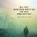 전국연합노동조합연맹 포천지역일반노동조 | 25년 11월 이야기, 15일은 버지니아풍년화를 가을꽃으로 만나 봄꽃 아니더라도 마음이 한껏 풍요로워졌다
