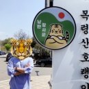 낭만장사꾼목령산호랭이 이미지