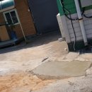 여주-0089 이미지