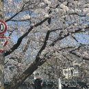 광의면사무소 이미지