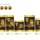 포티스(주) 이미지