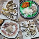 장류마실 | 속초 대포항 횟집 푸짐하고 싱싱한 선복호활어 모듬회세트 후기