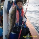 여주-0846 Daum카페