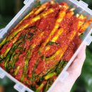 (12/18) 파김치 담그기 | 선화동매운실비김치&amp;파김치택배후기!! 완전 매운맛임