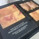 청주 봉명동 피부관리 추천｜건조함 싹 잡아준 피아나뷰티랩 수분플럼핑관리 후기