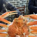 순양호영덕대게직판장