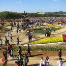 드림파크 이미지