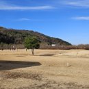 선산중앙로-9 이미지