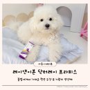 레이앤이본 닥터레이프라피스 강아지 구강과 기관지 한번에 케어하기