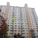 늘푸른수지 이미지