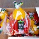 파프리카 푸드