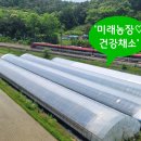 호남선 농장 이미지