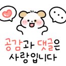 2동탄약국 네이버블로그