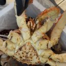 삼화수산 이미지