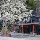성암사 티스토리