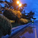 인경이네 이미지