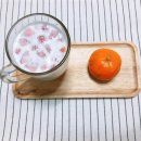 김뽀홈트 이미지