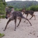 블랑꼬피트니스 이미지