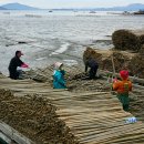 세포삼거리 이미지