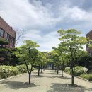 신용서비스 티스토리