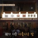 반값애견 이미지