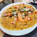 DE050 | 포르투 맛집 Flor de Bragança｜포르투의 김밥천국 같은 전통 기사식당 후기