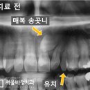 서울바정치과의원 이미지