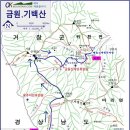 수송세계로약국 Daum카페