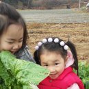 파랑새농장 이미지