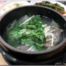 새들원