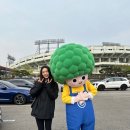 2025 유한킴벌리 신혼부부 나무심기 참여, 경쟁률 TV출연 후기