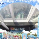 비에스케이 이미지