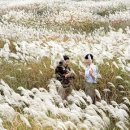 갈대한우촌 이미지