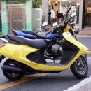 노란옥수수 이미지