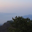 작두산성鵲頭山城 Daum카페