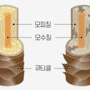 스타미용재료
