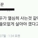 욜로 이미지