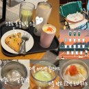 머스캣블렌디드, 씨쏠트카라멜 콜드브루, 스코프초콜릿칩스콘 맛후기 (+ 써머 프리퀀시 증정품 실물사진)