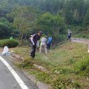 안양면 행정복지센터 이미지