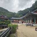천성산 내원사(2026. 9. 27) 이미지