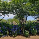 하례2리 마을회관 이미지