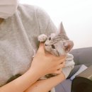 행복한헤어 이미지