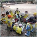 위즈어린이집 이미지