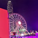 다인 | 2025 홍콩 와인앤다인 실시간 후기!